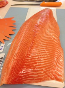 Salmon fillet colour check